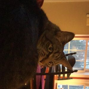 Meet your Posher, Grace